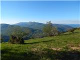 Col - Križna gora above Col